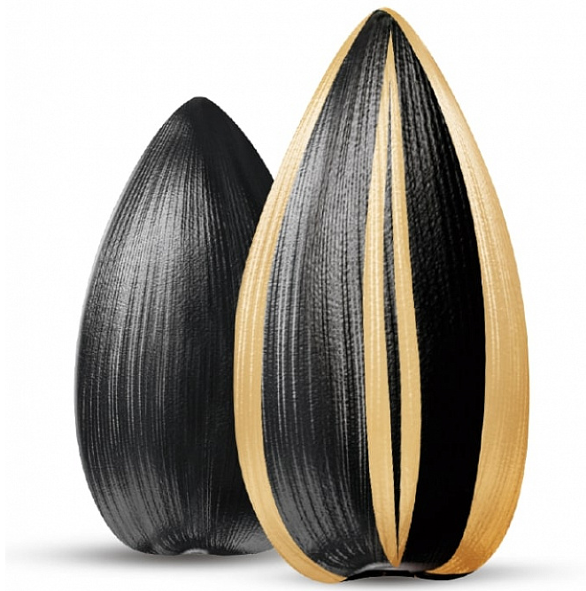 image of big seed